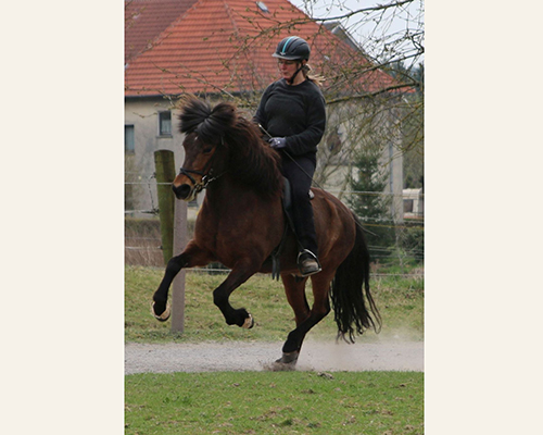 © 2015 by Glockenhof